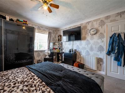 Picture 11